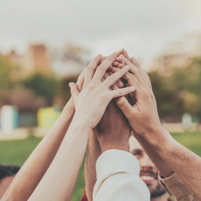 Go to the Degree Programs in Humanities and Social Sciences page