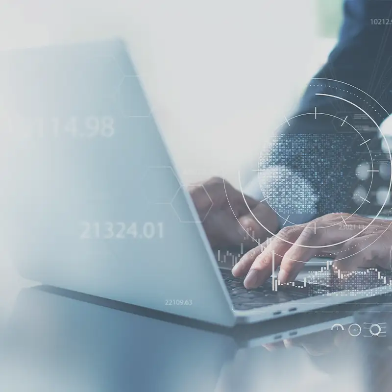 Degree Programs in Business Sciences