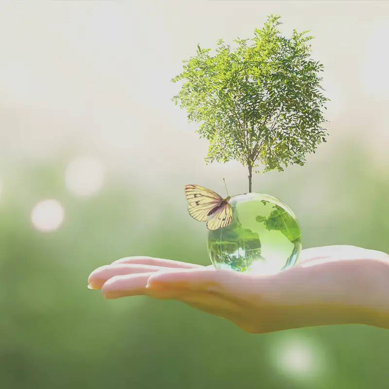 Go to the Joint Master's Degree Program in Sustainability and Environmental Sciences page