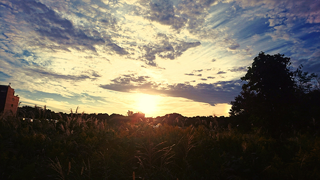 「カタワレドキ」　村上　誠（人間学群）