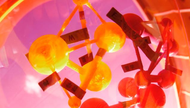 特色ある研究に関する取り組み