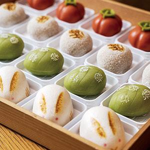 市原 淳子さん 写真