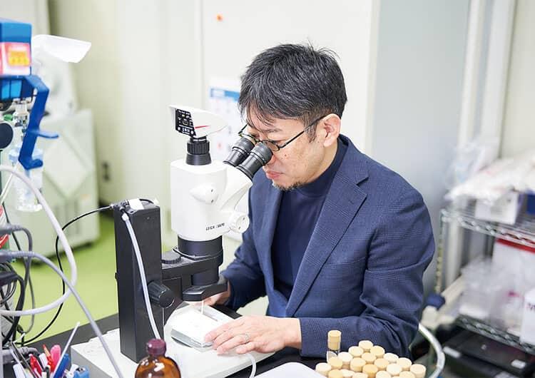 丹羽プロジェクト（生理遺伝学研究）