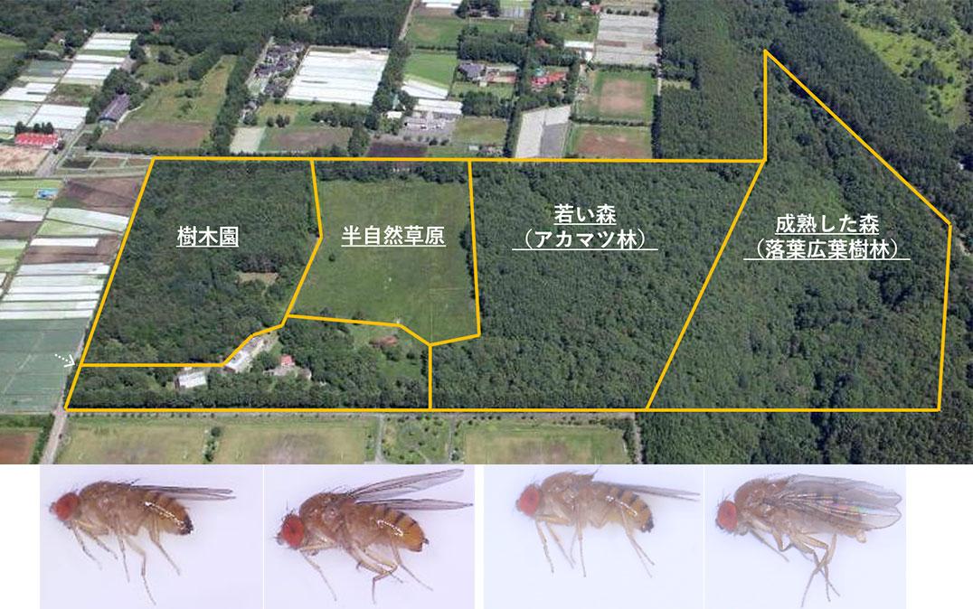 研究イメージ画像