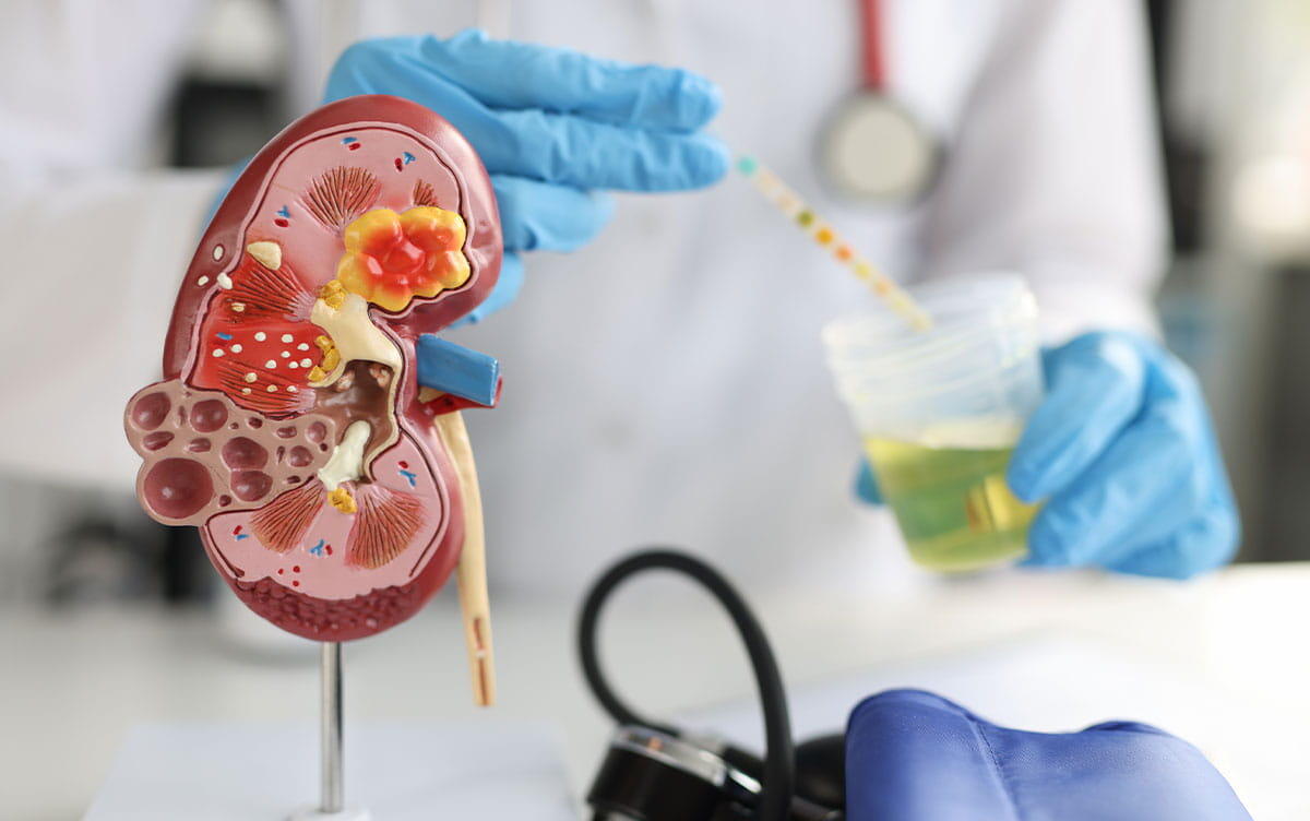 研究イメージ画像