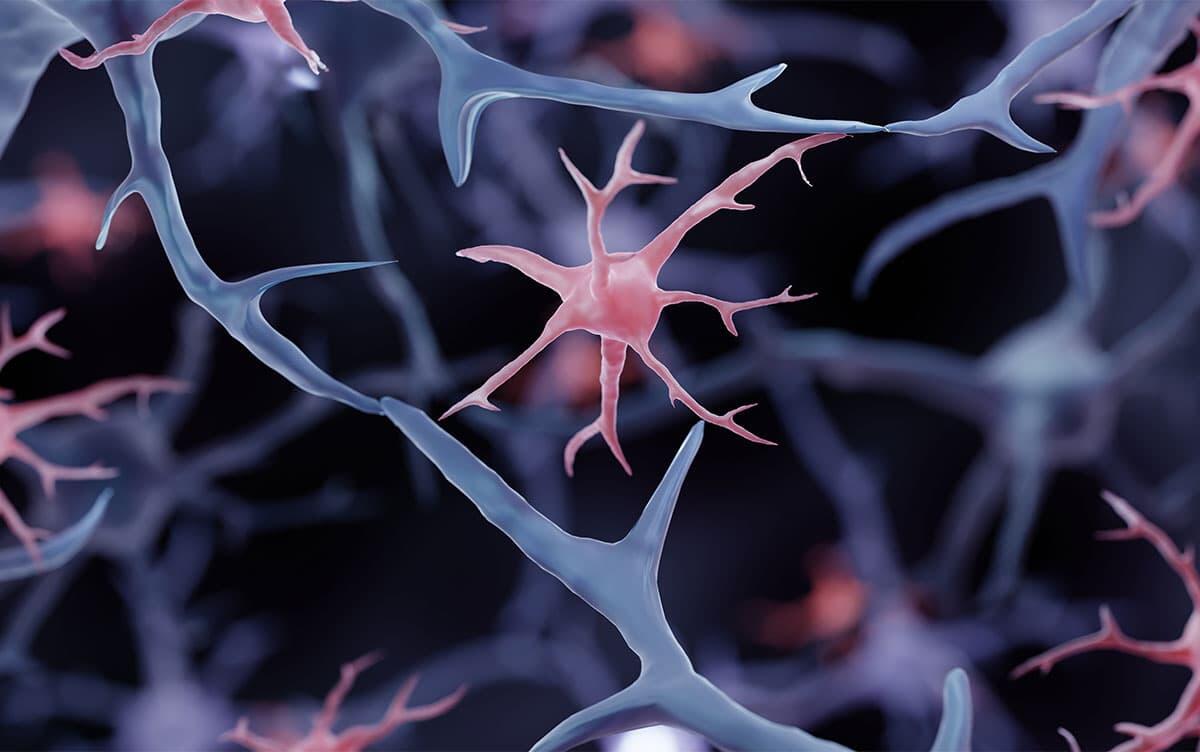 研究イメージ画像