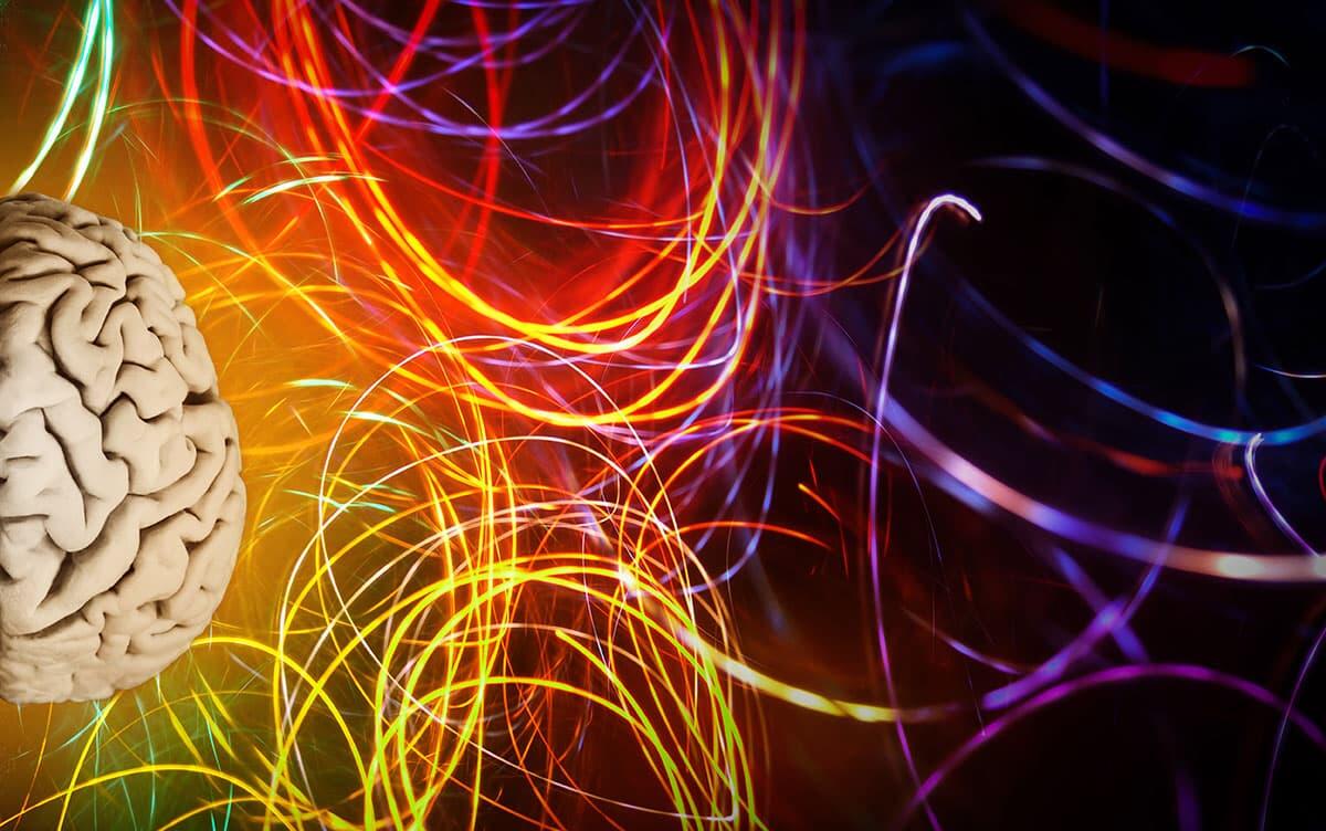 研究イメージ画像