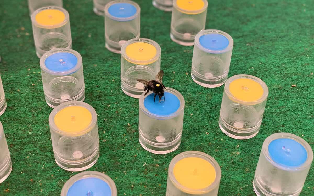 研究イメージ画像