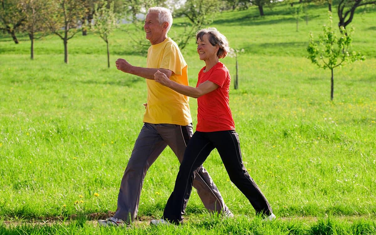 研究イメージ画像