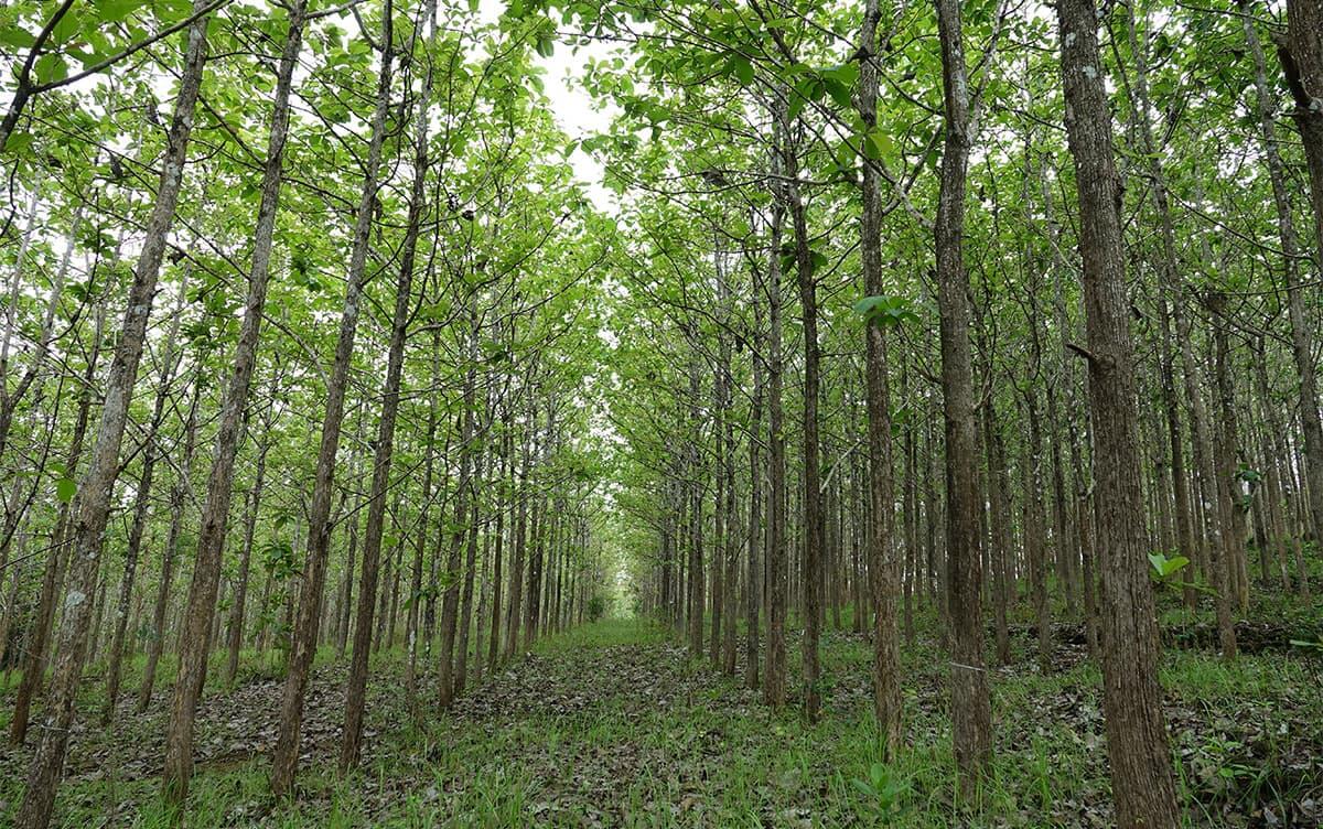 研究イメージ画像