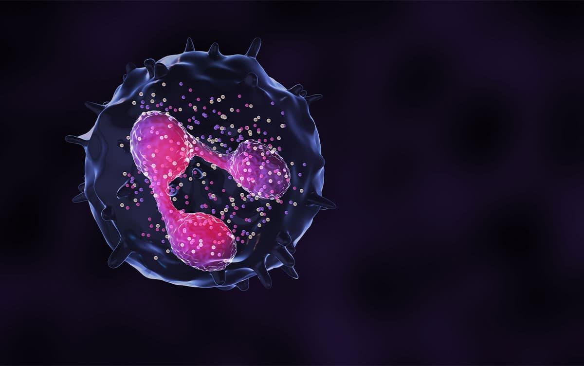 研究イメージ画像