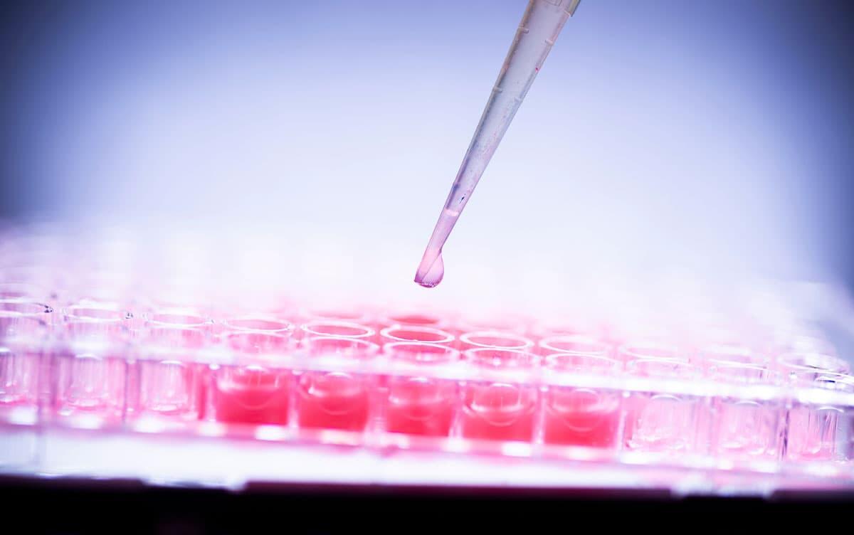 研究イメージ画像