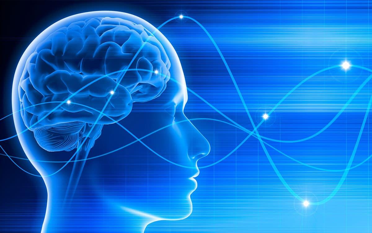 研究イメージ画像