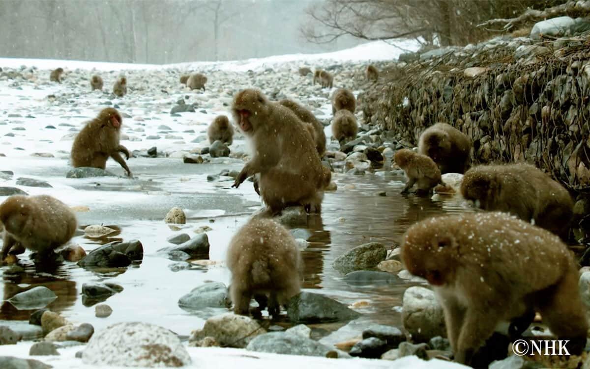 研究イメージ画像