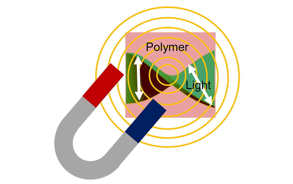 研究イメージ画像
