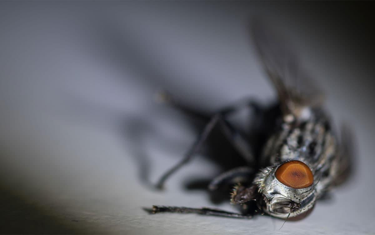 研究イメージ画像