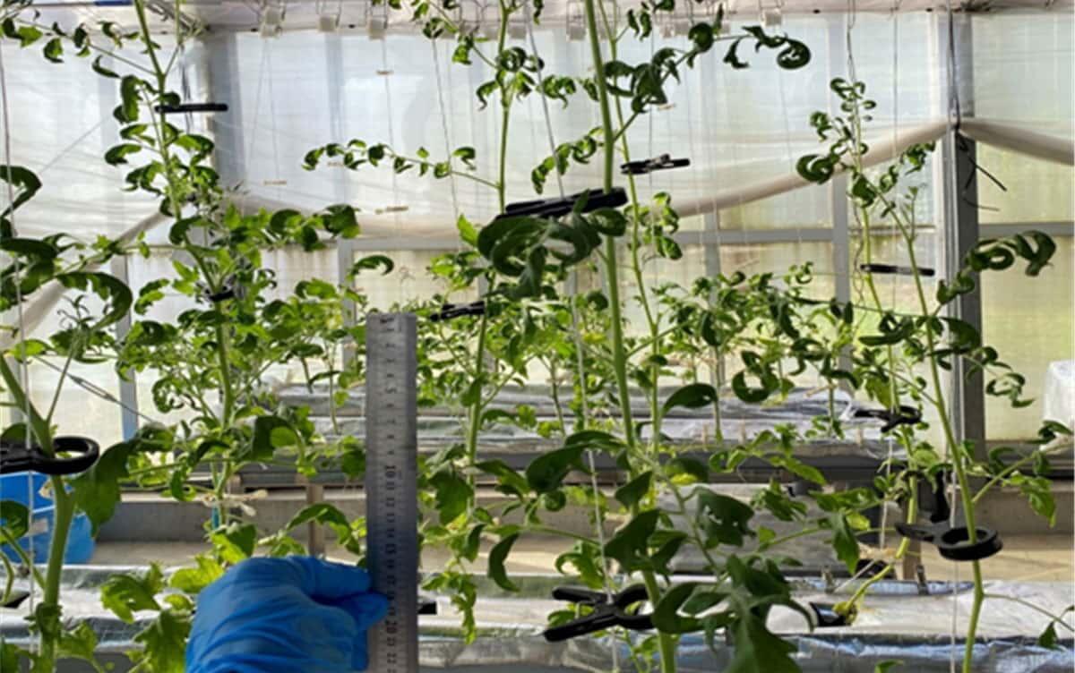 研究イメージ画像