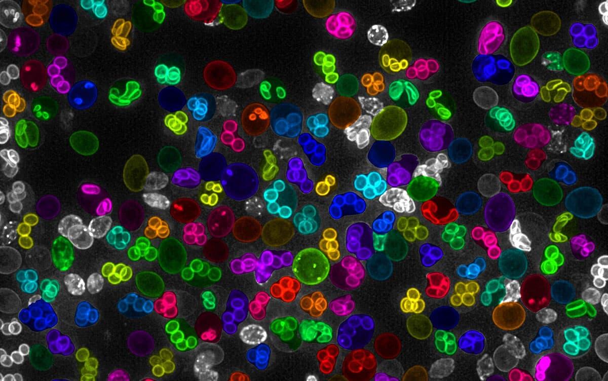 研究イメージ画像