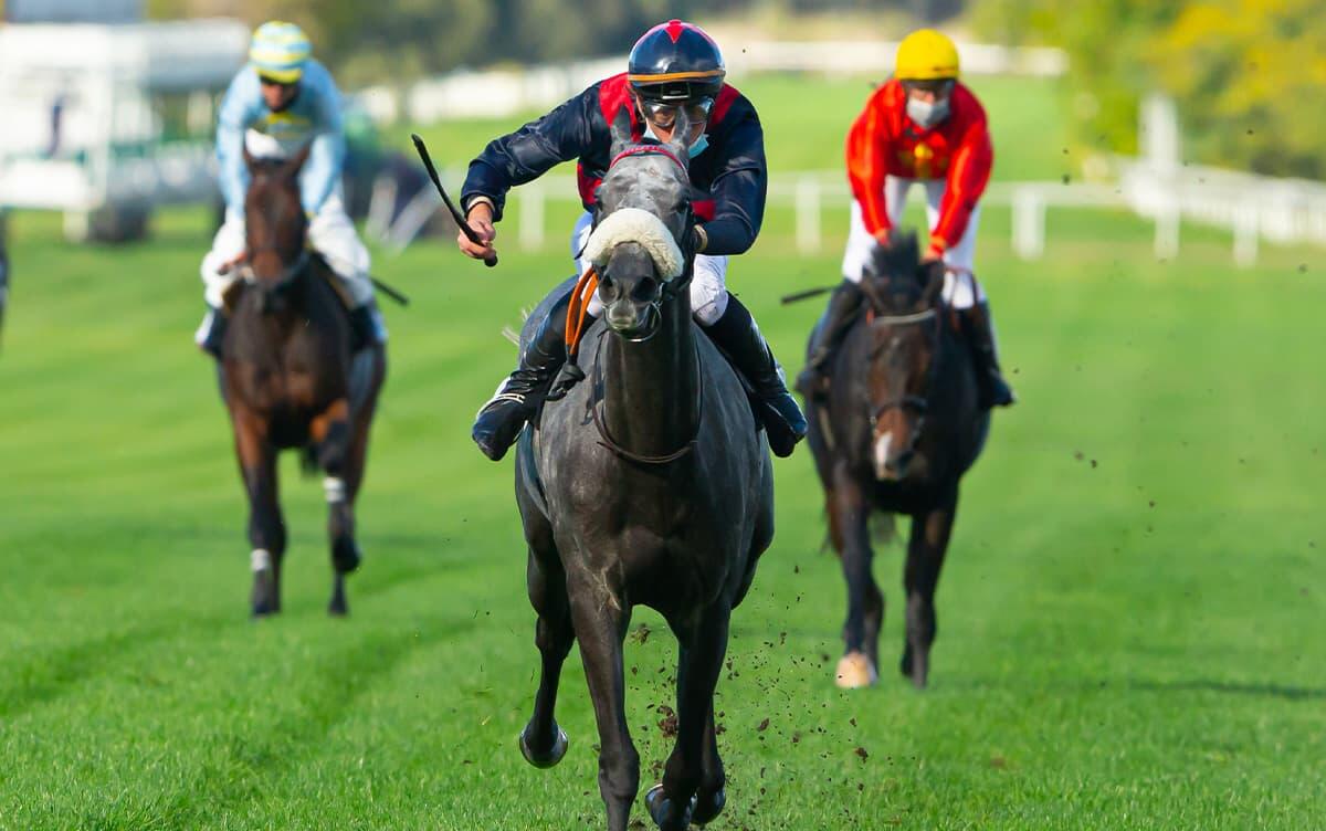 研究イメージ画像