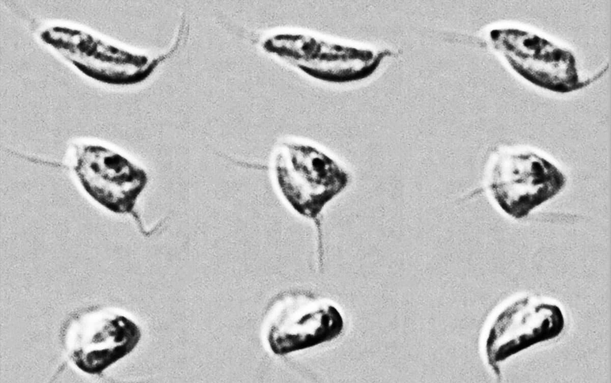 研究イメージ画像