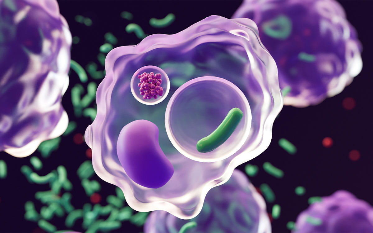 研究イメージ画像