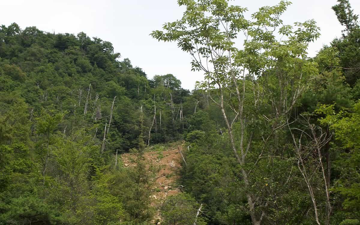 研究イメージ画像