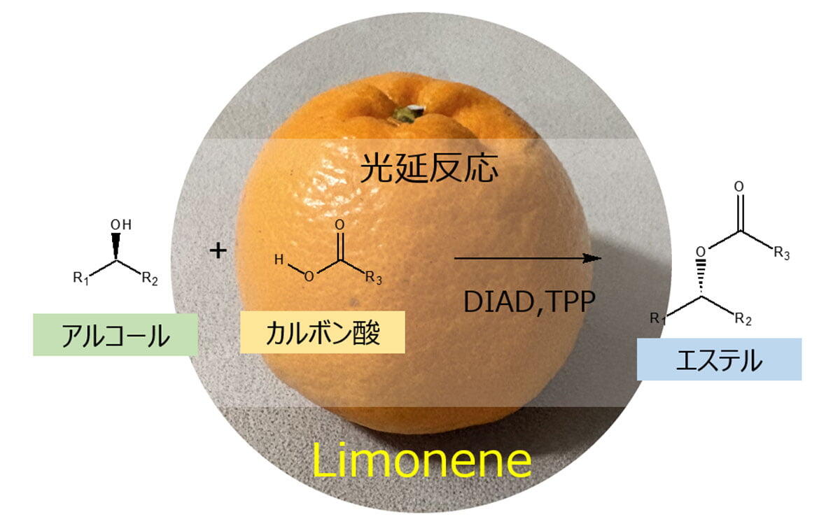 研究イメージ画像