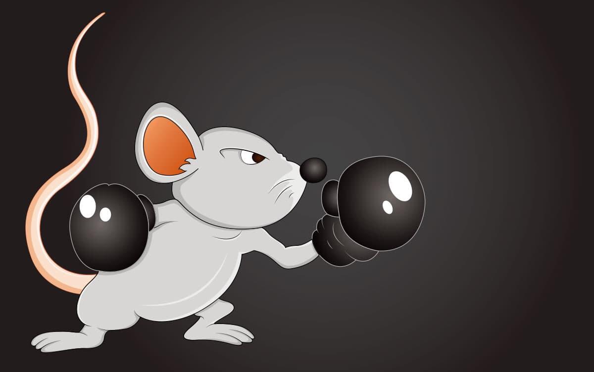 研究イメージ画像