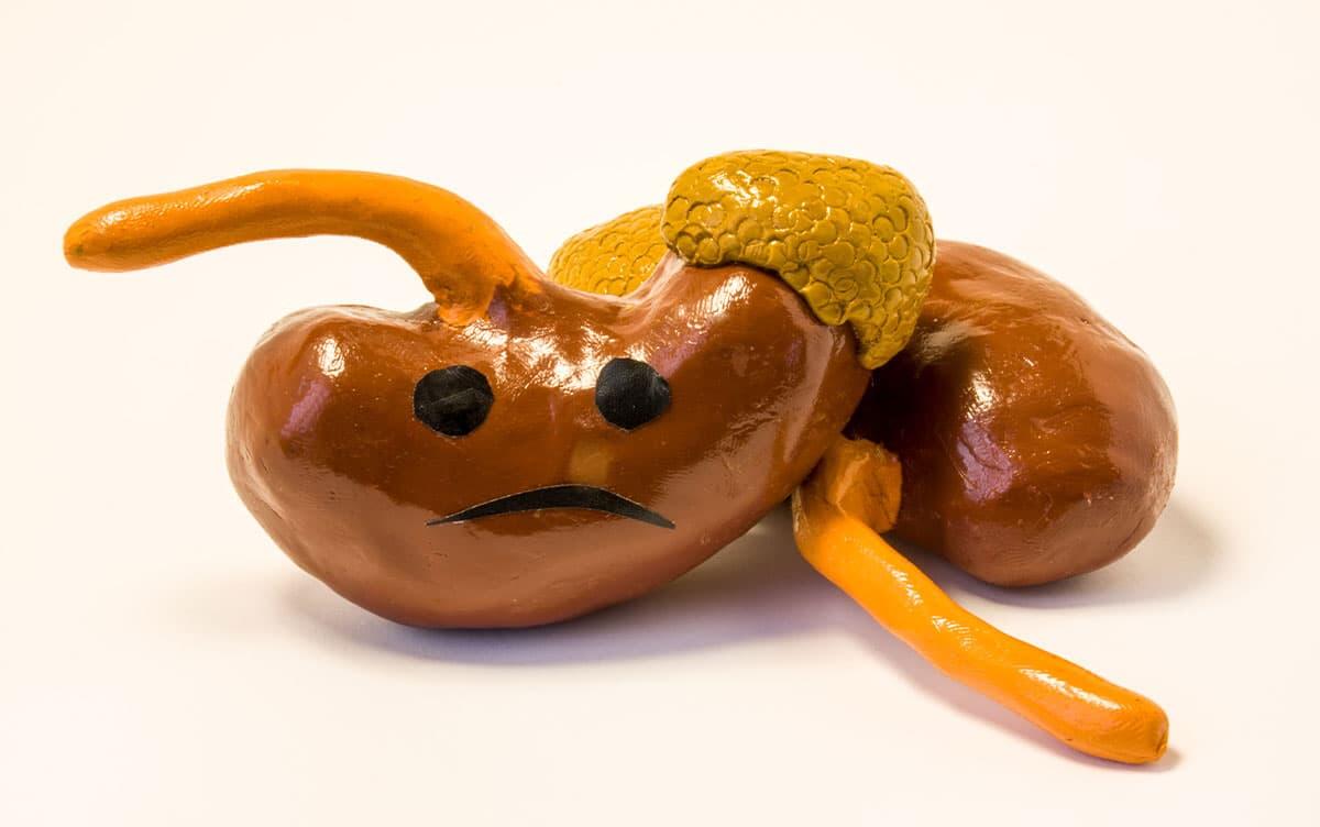 研究イメージ画像