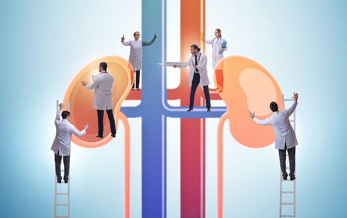 研究イメージ画像