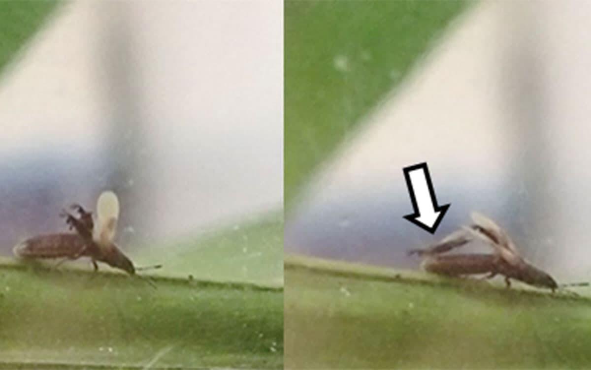 研究イメージ画像